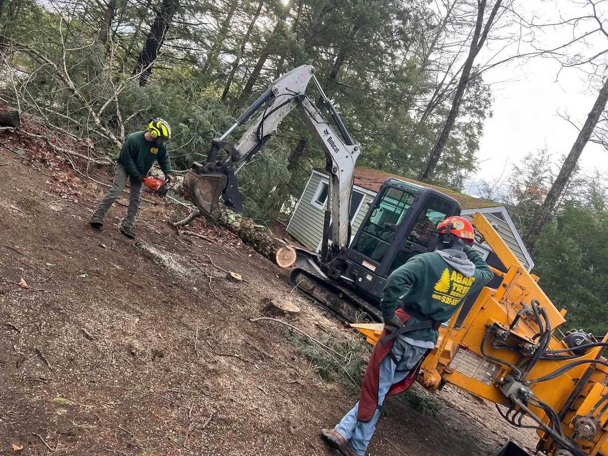 Rigging for Abair Tree Service in Weare, NH