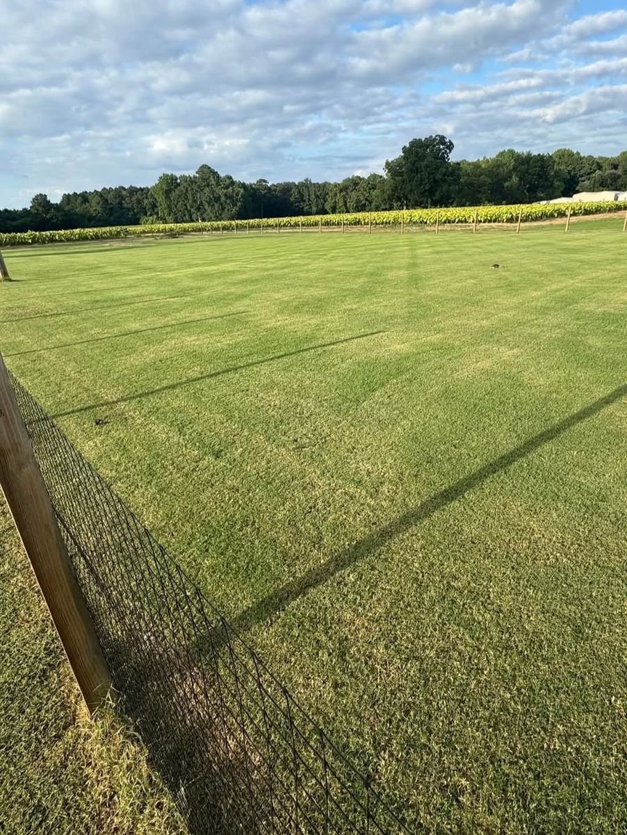 Weed Control for RightLane Turf Management LLC in Wilson, NC
