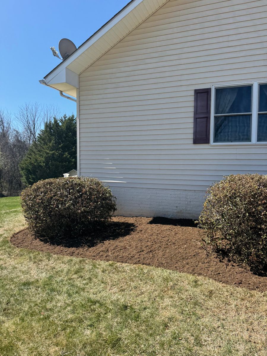 Shrub Trimming for Chiles Lawn & Landscaping in Gordonsville, VA