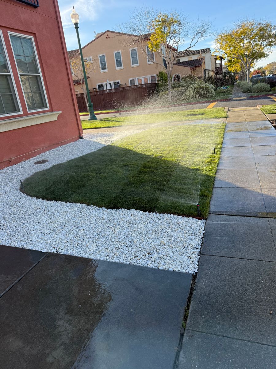Landscaping for CBA Landscaping in Hayward, CA