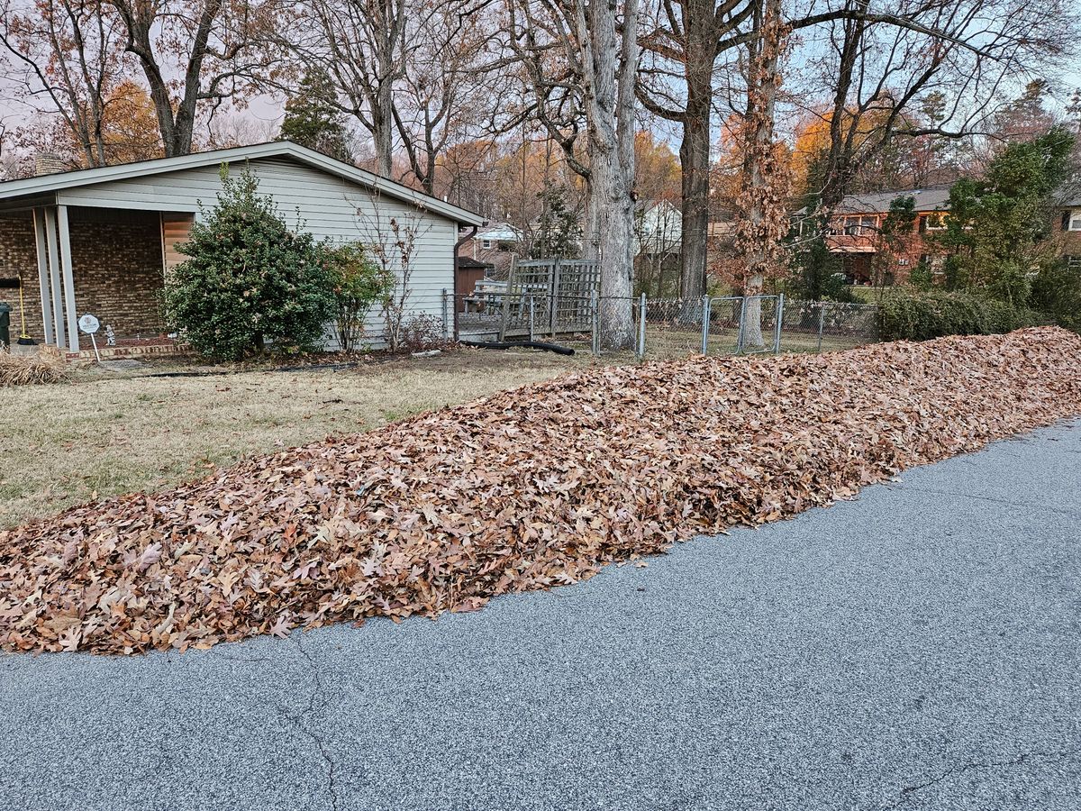 Property Clean Up & Leaf Removal for Gallimore’s Lawn Care in Thomasville, NC