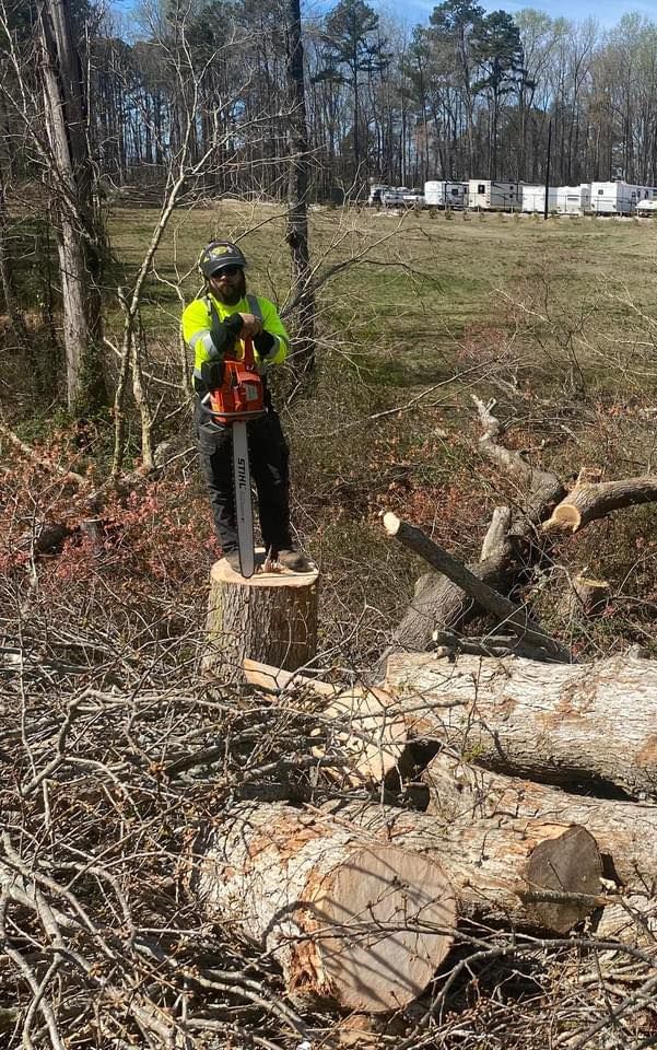 Tree Trimming for MTJ Tree Removal LLC in Zebulon, NC