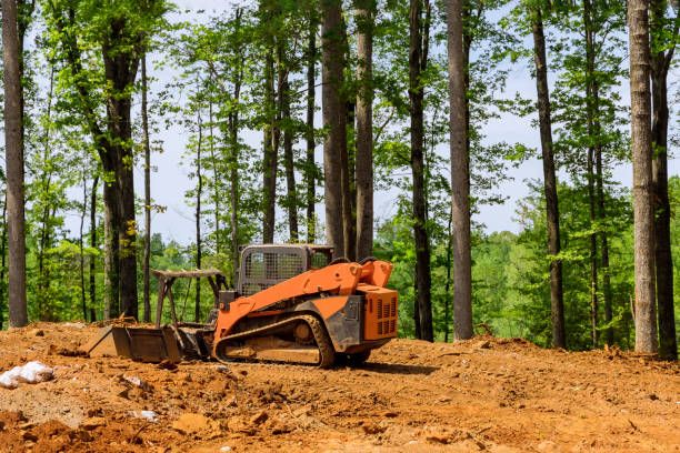 Land Grading for Bay Area Bobcat in Riverview, FL