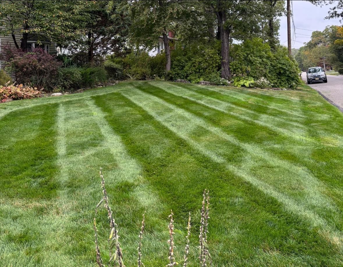 Lawn Maintenance for MDR Landscaping in Urbana, IL