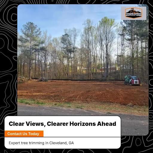 Land Clearing for Parker's Grading Services in Sautee Nacoochee, GA