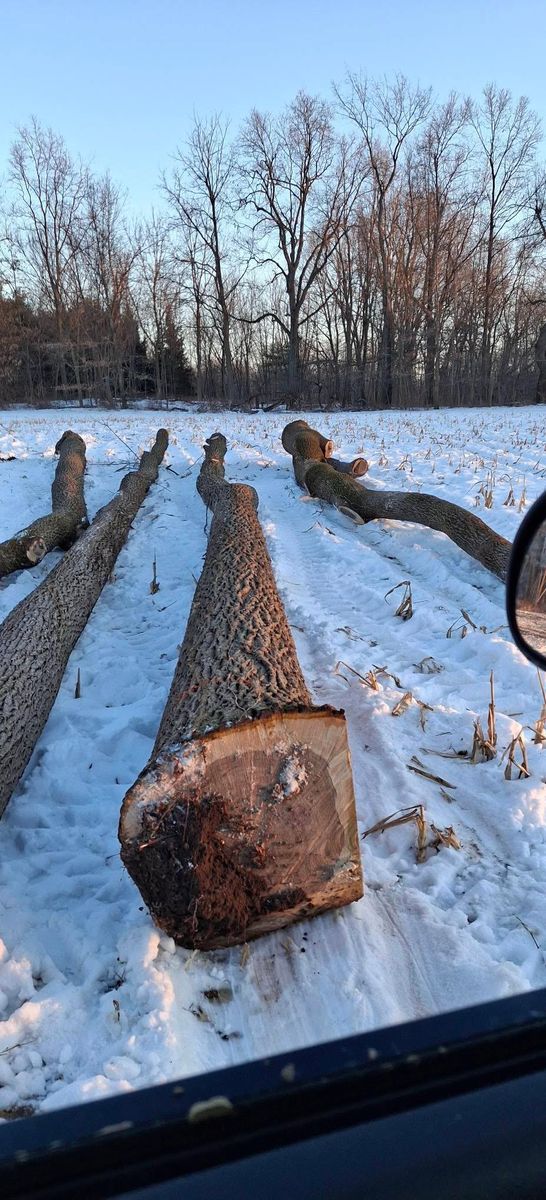 Timber Management for God's Country Timber Management in Hillsdale, MI