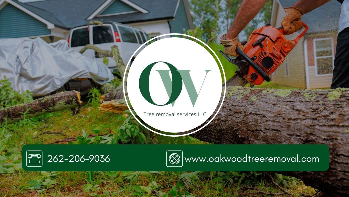 Tree Trimming for Oakwood Tree Removal LLC in Oak Creek,  WI