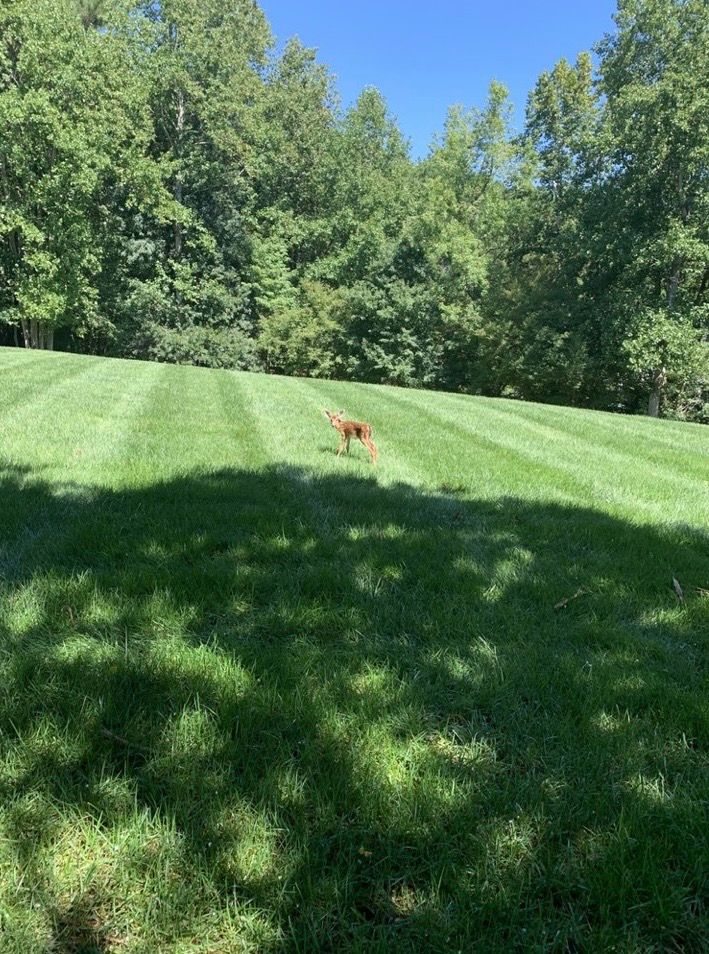 Mowing for Zotelo’s Lawncare LLC in Winston-Salem, NC