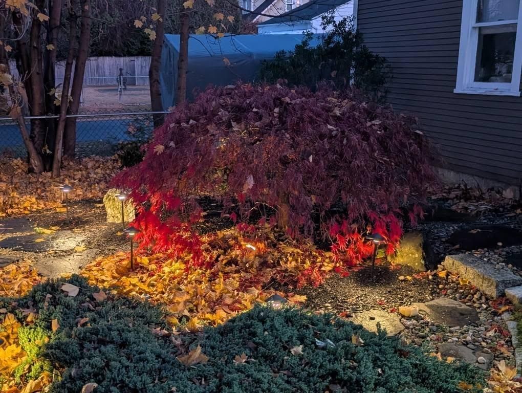 Shrub Trimming for Evolution Earthscapes, LLC in Ludlow, MA