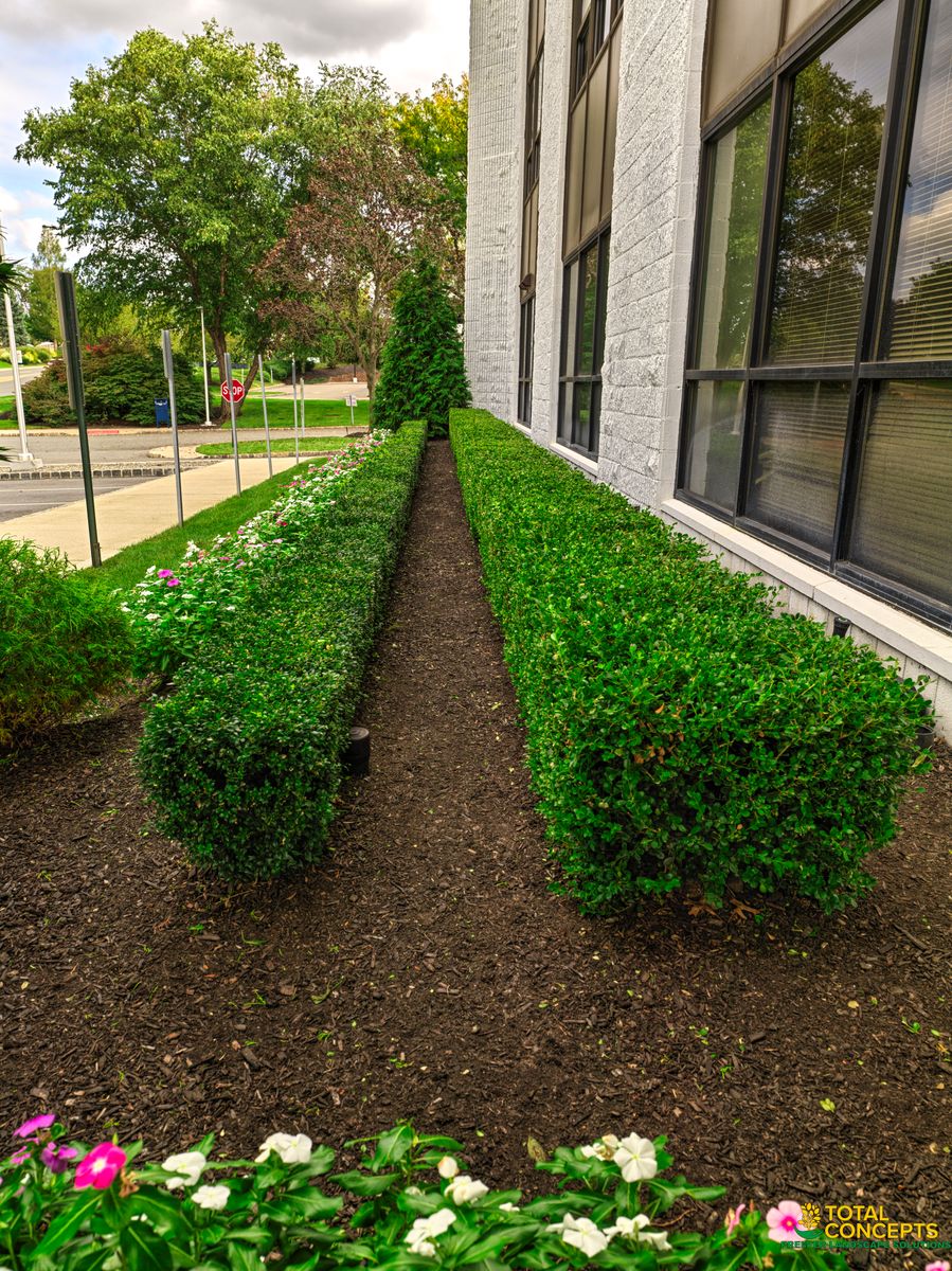 Seasonal Refresh for  in Morristown, NJ