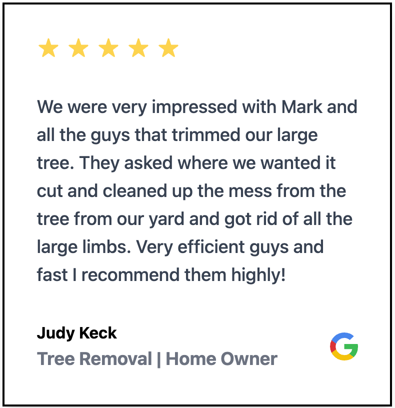 Tree Removal for Marks Tree Service in Fort Worth, TX
