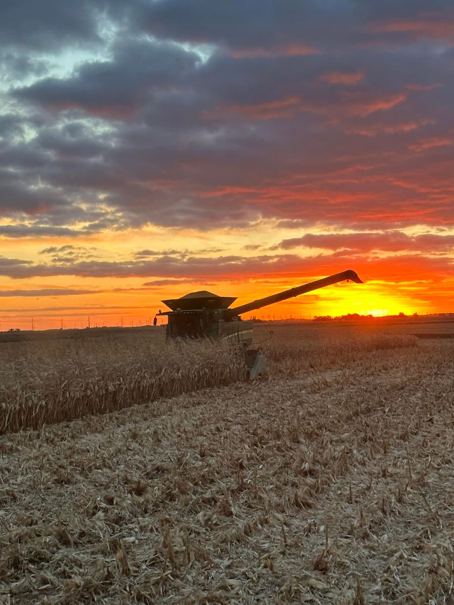 Farming for Legge Farms and Drainage in Garner, IA