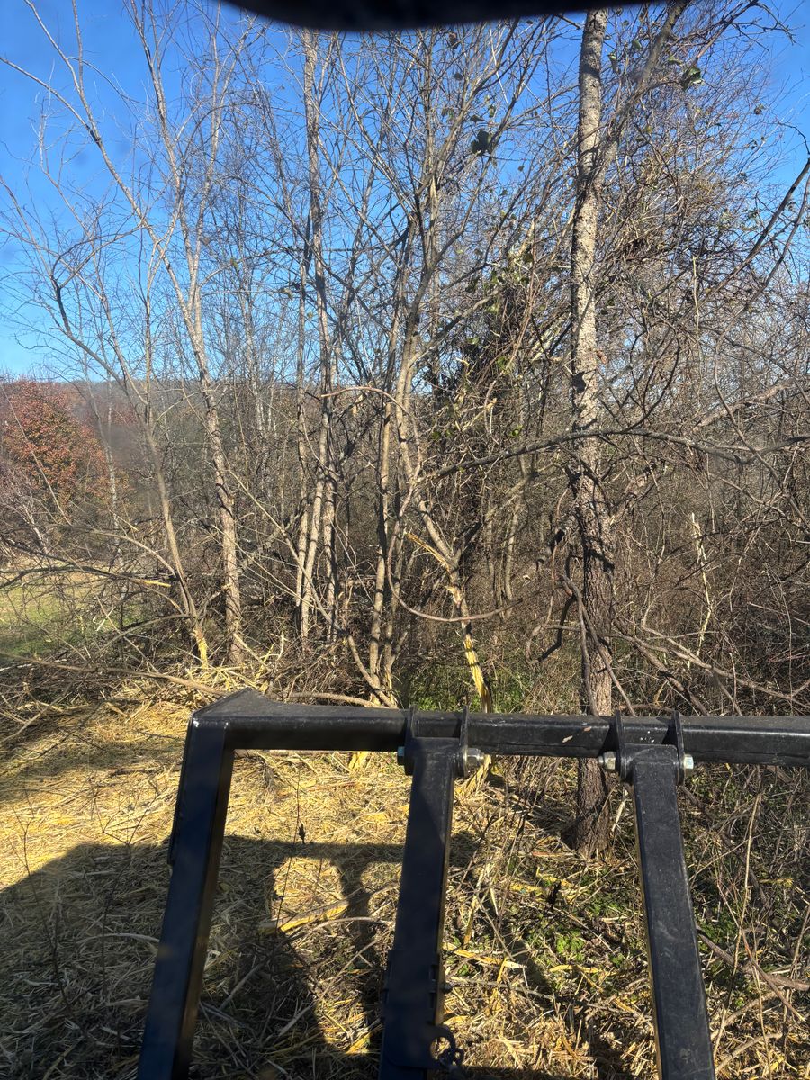 Land Clearing for Gregory Grass and Lawn in Lafayette, TN