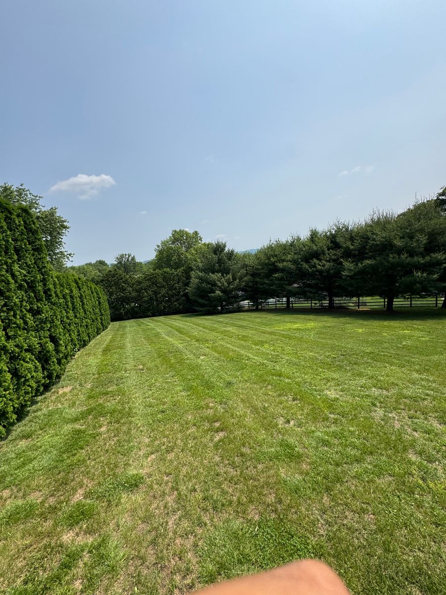 Property Maintenance for Landscape & Lawn Care Pros in Temple, PA