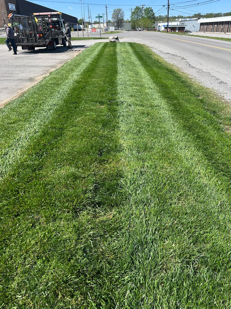 Other Lawn Services for Mid South Lawn Inc. in Nashville, TN