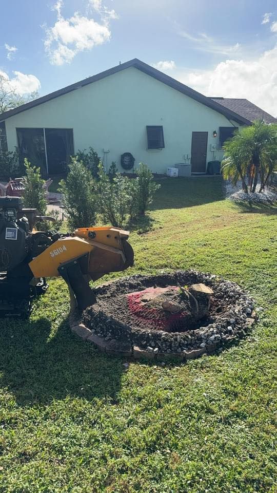 Stump Grinding for Rize N’ Grind  in Punta Gorda, FL