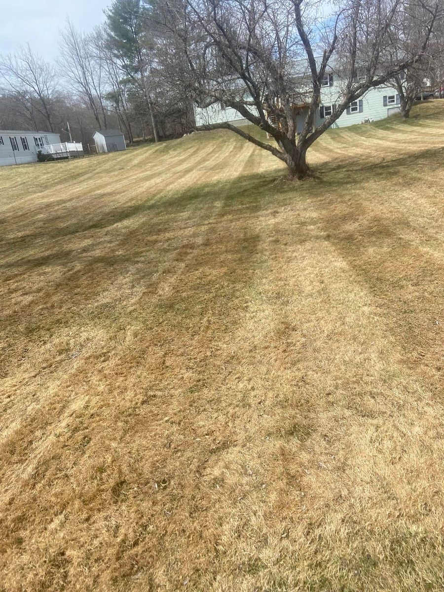 Lawn Maintenance for Thomas Clifford Property Services LLC in Enfield, NH