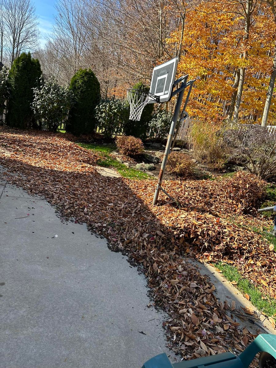 Fall Clean Up for Lopez Landscaping and Hardscapes in Scranton, PA