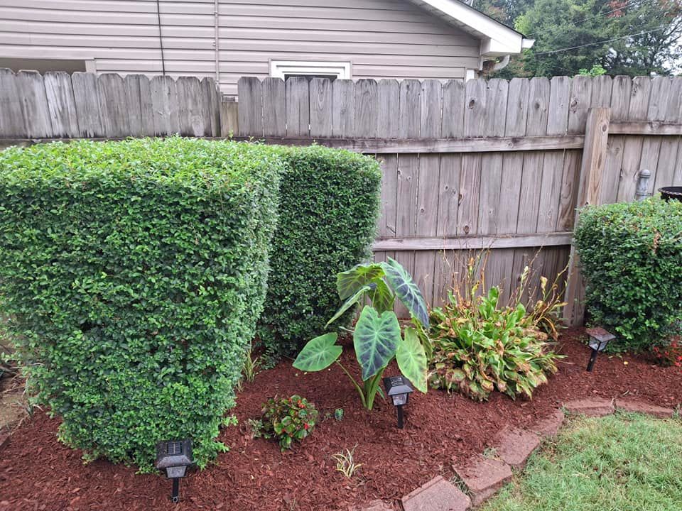 Shrub Trimming for The DUFF LAWN Service in Houston, Texas