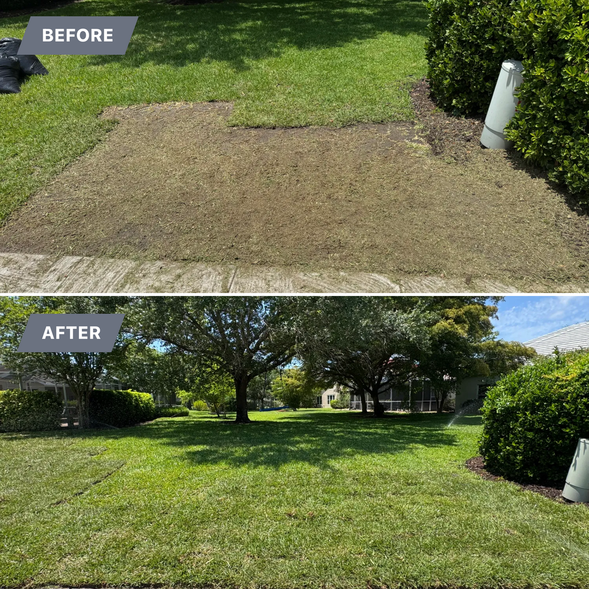 Sod installation for BH Lawn and Landscape in Fort Myers, FL