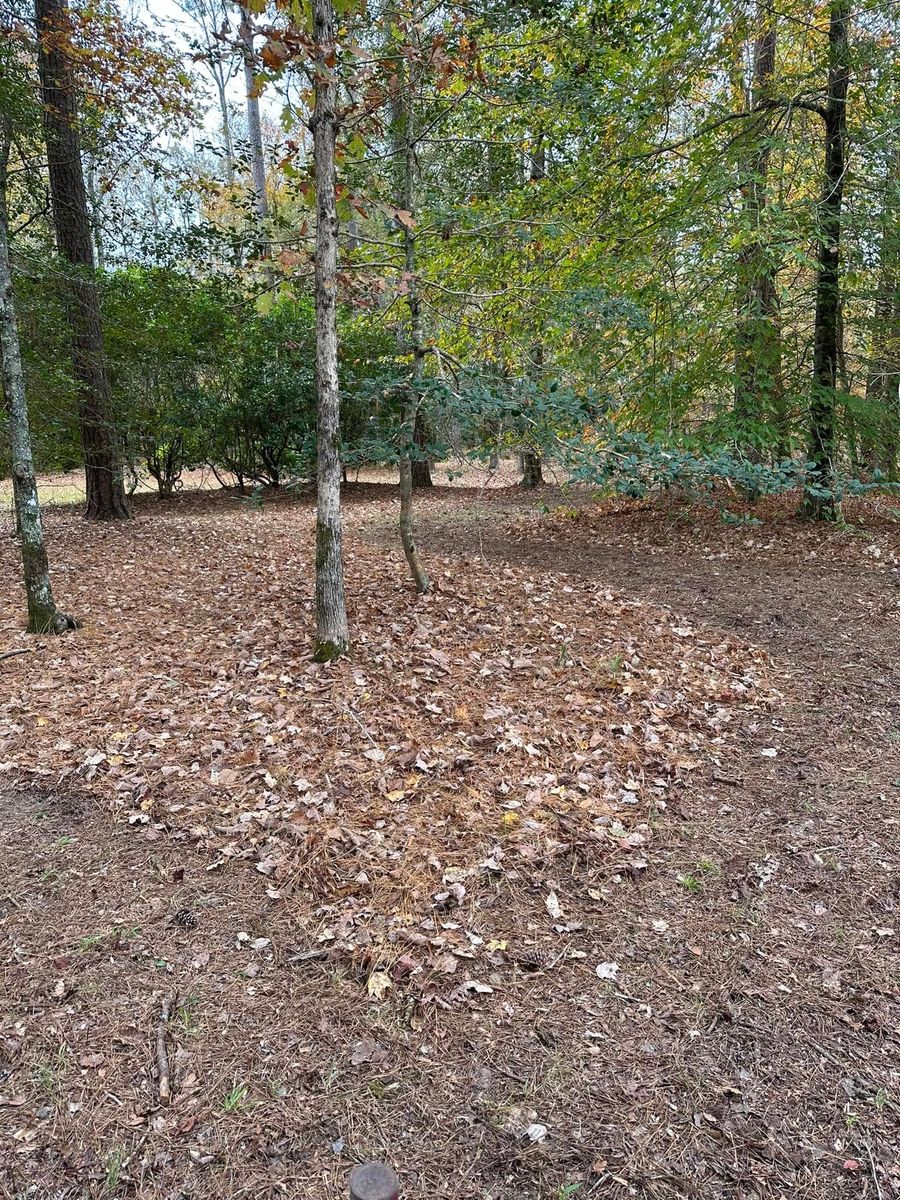 Fall Clean Up for Cahoon's Coastal Lawn Care Services in Manteo, NC