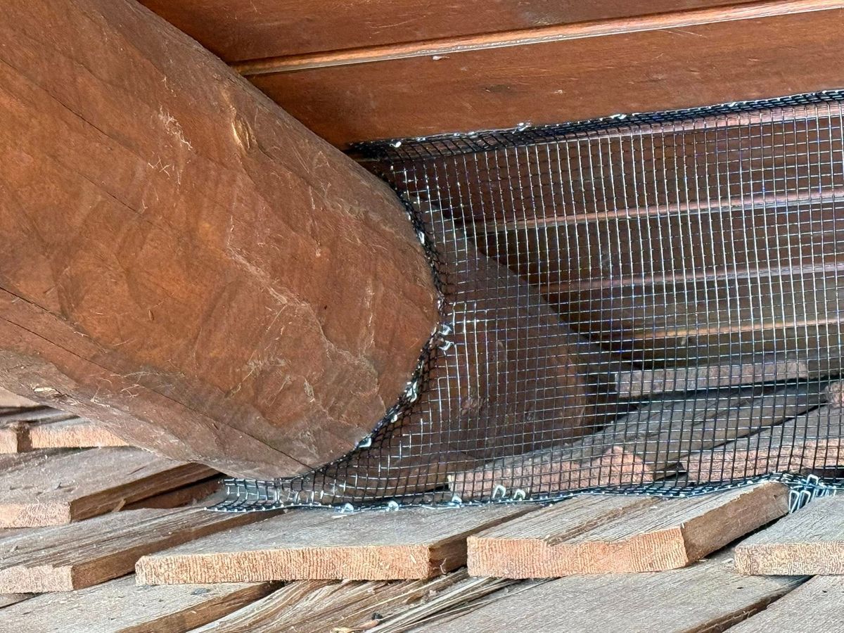 Log replacement and repair. for Wild West Log home specialists in Corvallis, MT