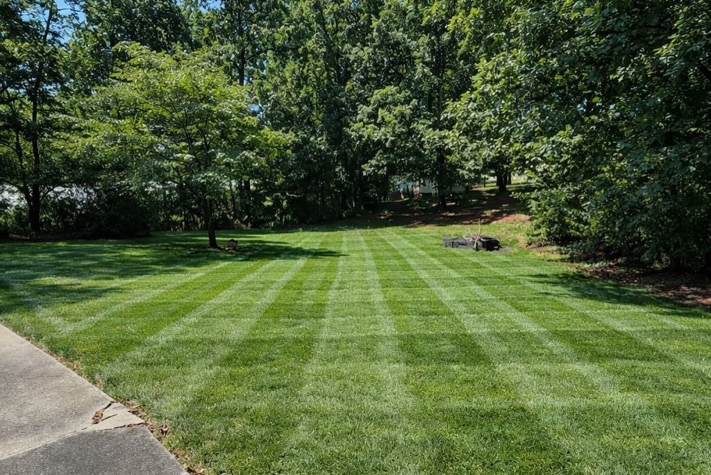 Aeration for Holloway Yard Company in Greensboro, NC