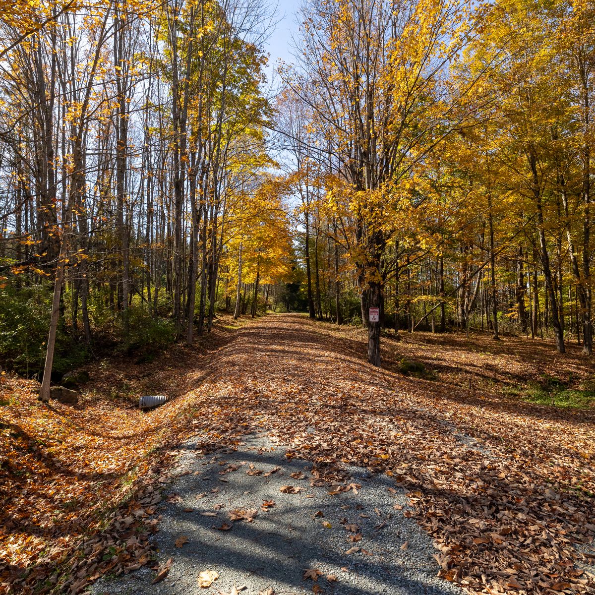 Driveway Repairs for Andy Naylor Excavation in Stowe, VT