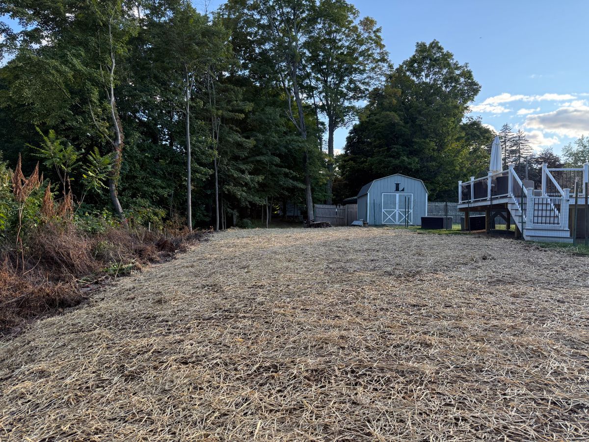 Land Clearing & Yard Expansion for Lennon Land Management in Suffield, CT