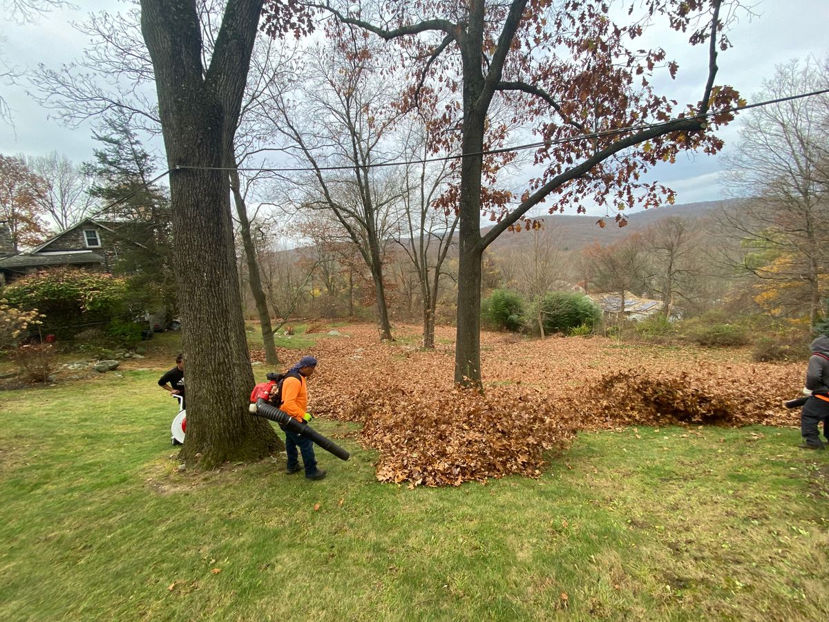 Fall Clean Up for Zaldivar’s Lawn Care INC  in Peekskill, NY