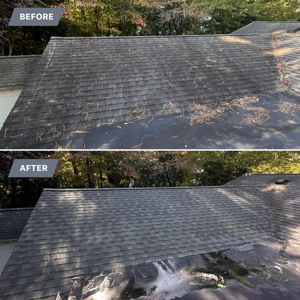 Roof Soft Wash for LeafTide Solutions in Richmond, VA