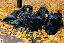 Leaf Clean Up for Phillips Lawn Services in Ravenna, MI