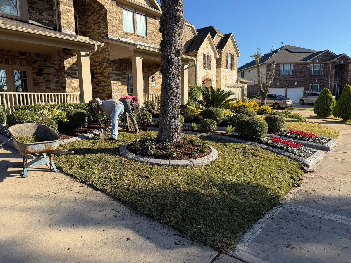 Landscaping for Texas Curb N Borders in Houston, TX