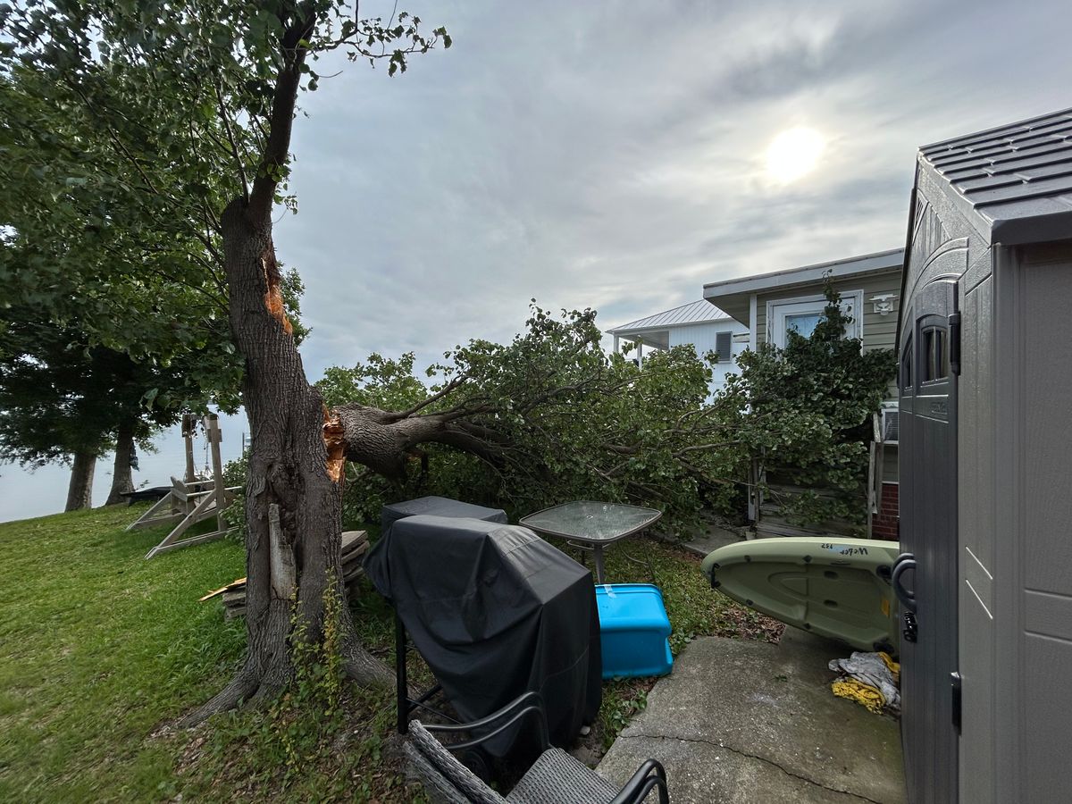 Tree Trimming/Tree Removal for Top Notch Landscape in Sneads Ferry, NC