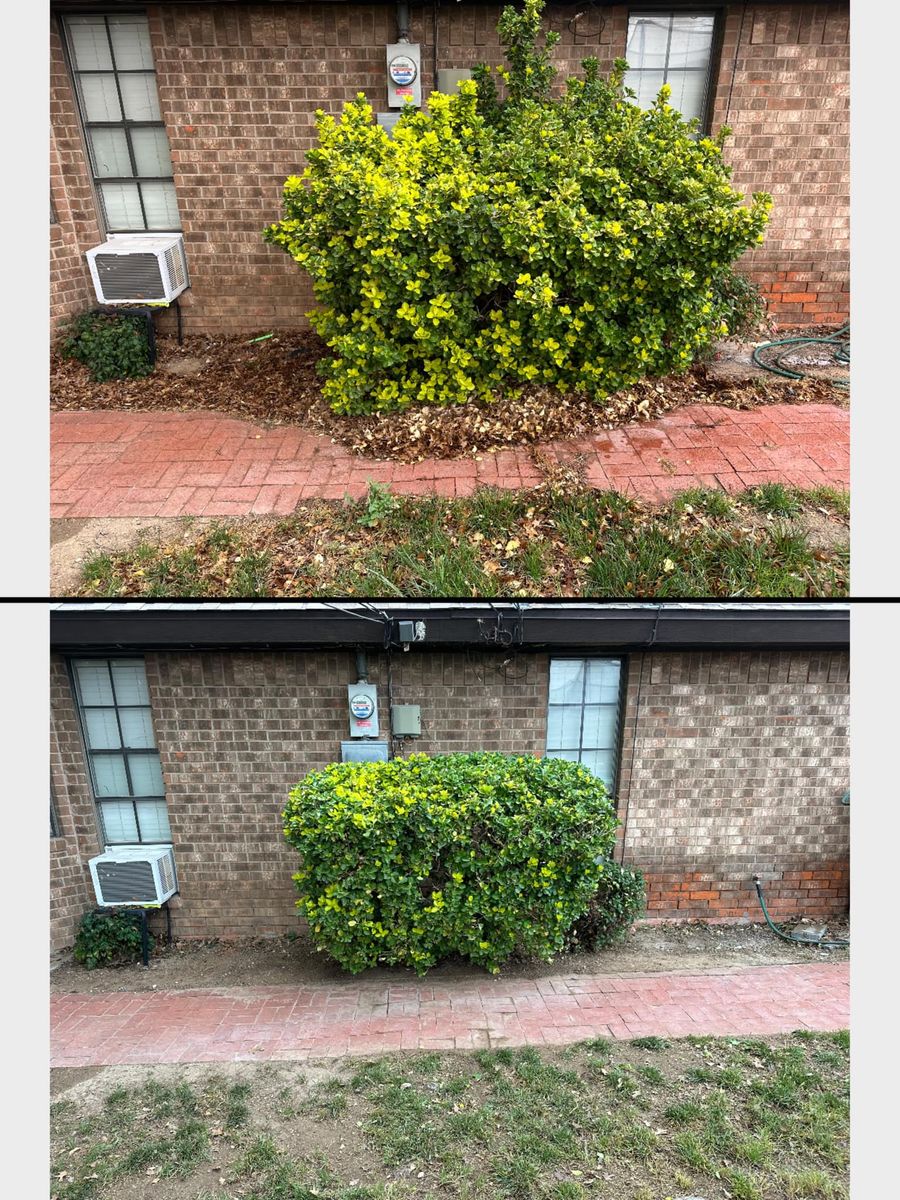 Shrub Trimming for Compas Cleanup in McCamey, TX