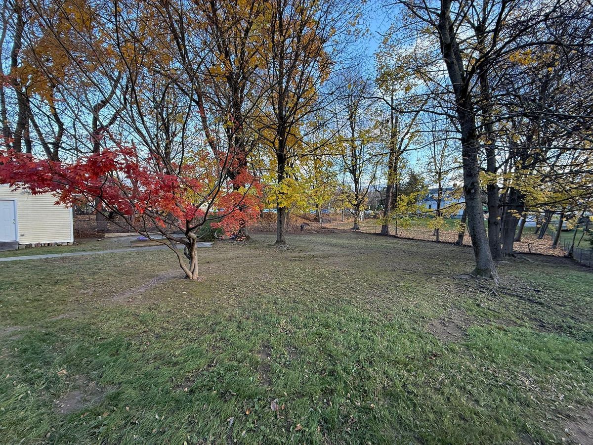 Fall & Spring Maintenance for Ardisi Property Maintenance LLC in Poughkeepsie, NY 