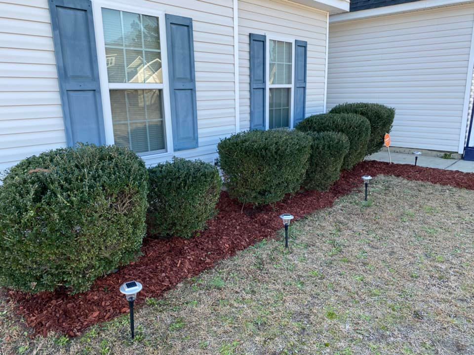 Shrub Trimming for Cutting Edge Lawn Care in Fayetteville, NC