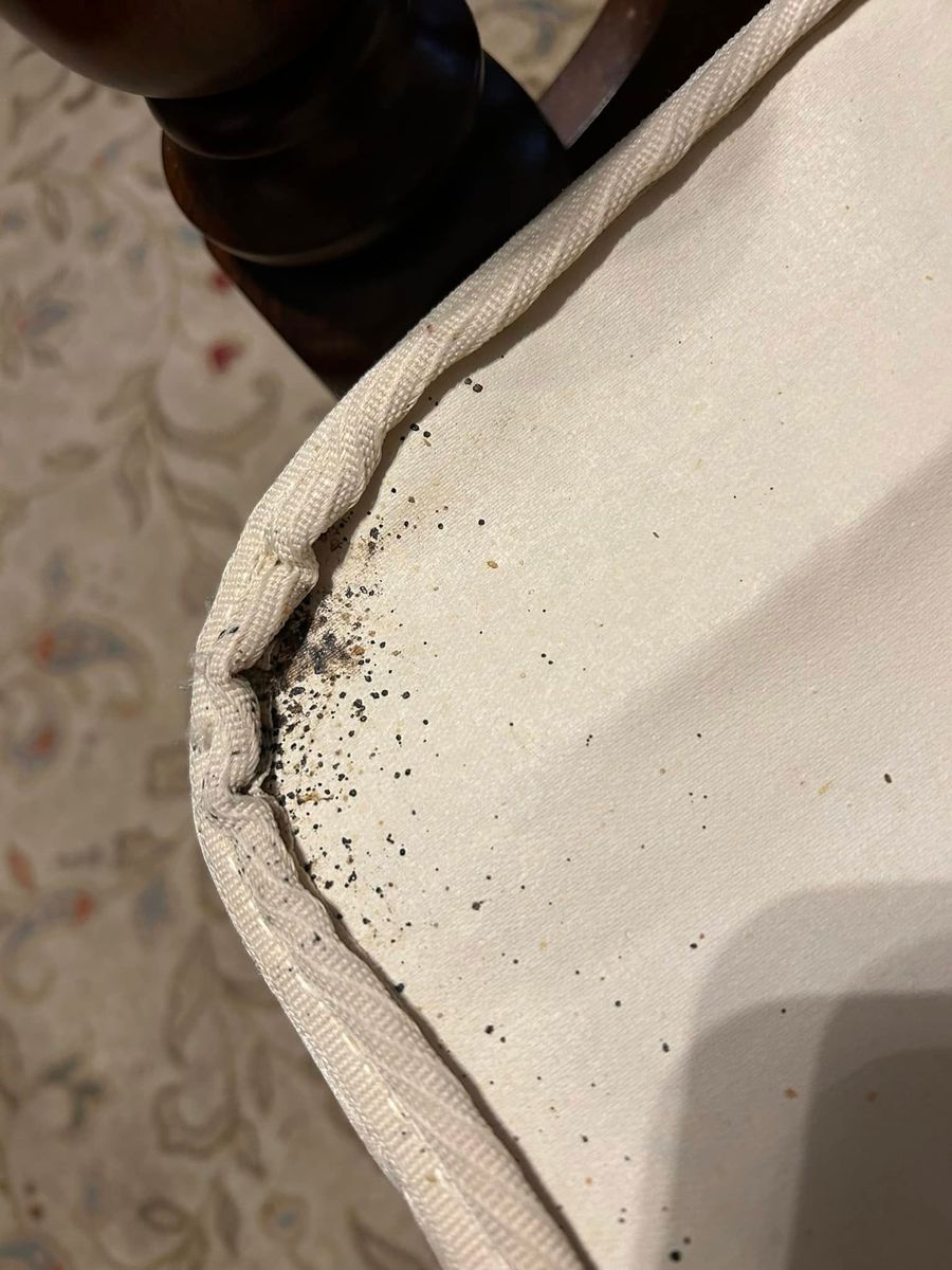 Residential Pest Control for Winecoff Pest Control in Salisbury, NC