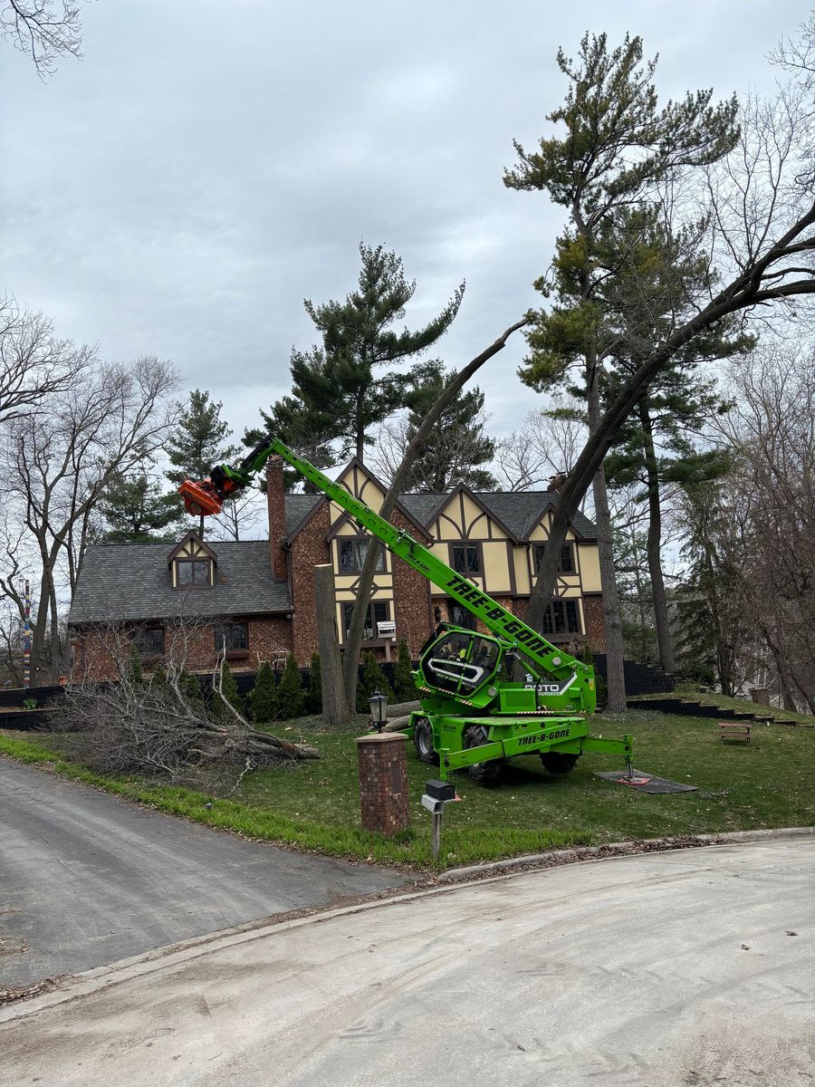 Tree Removal for Tree-B-Gone in Shawano, WI