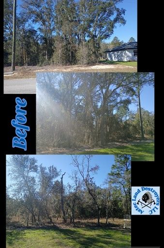 Tree Trimming & Removals for Aztec Land Destroyers LLC in Ocala, FL