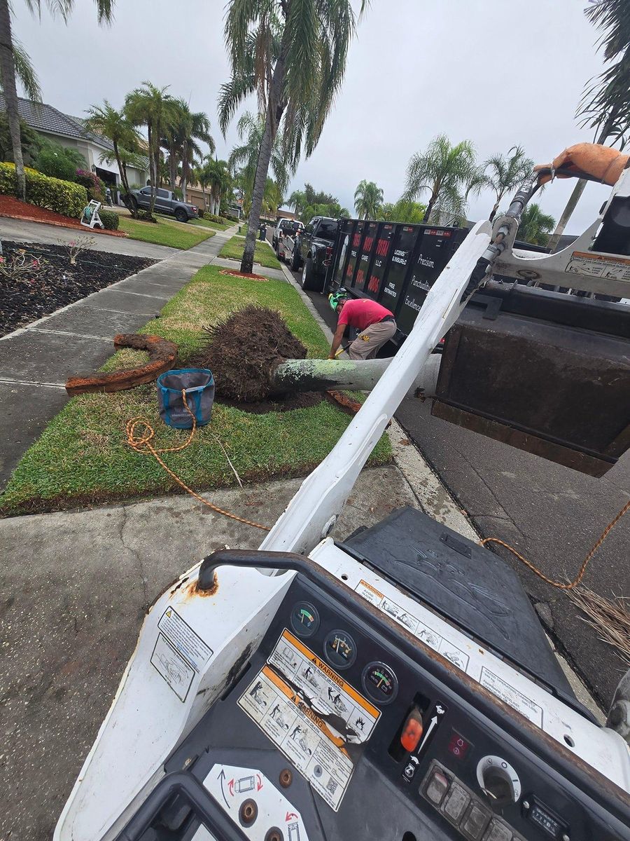 Stump Grinding for TREE BOYS in Ruskin, FL