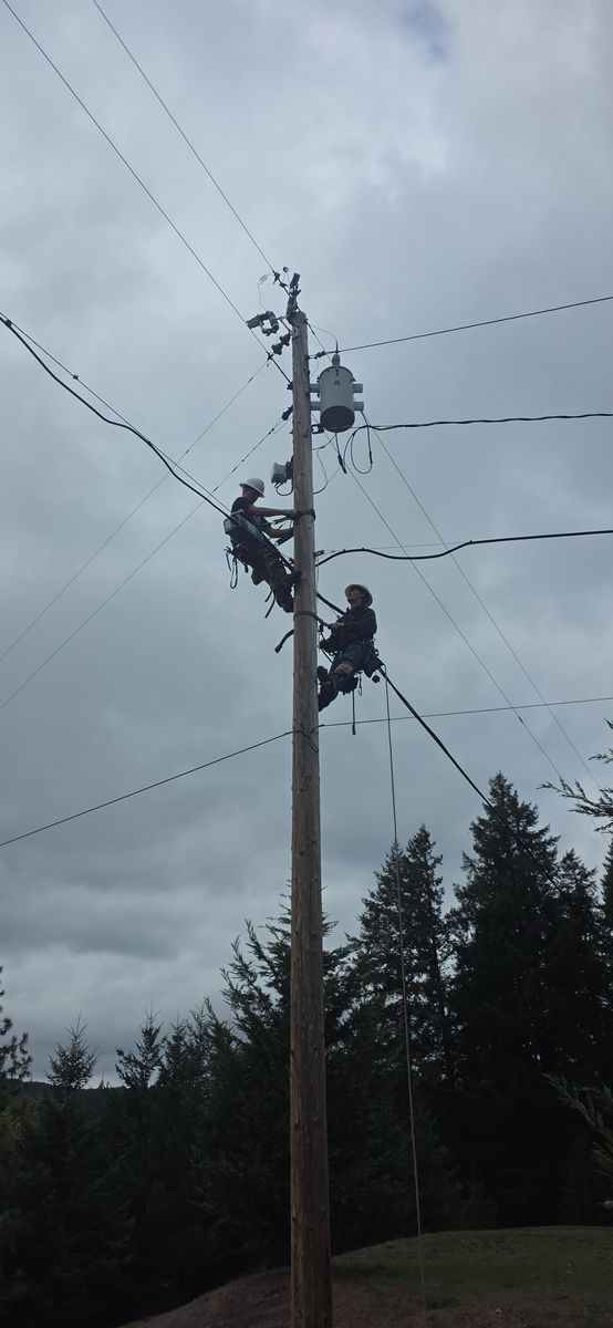 Tree Trimming for Hammons Construction LLC in Eugene, OR