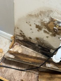 Water Mitigation for N&D Restoration Services When Disaster Strikes, We Come In in Cape Coral,  FL