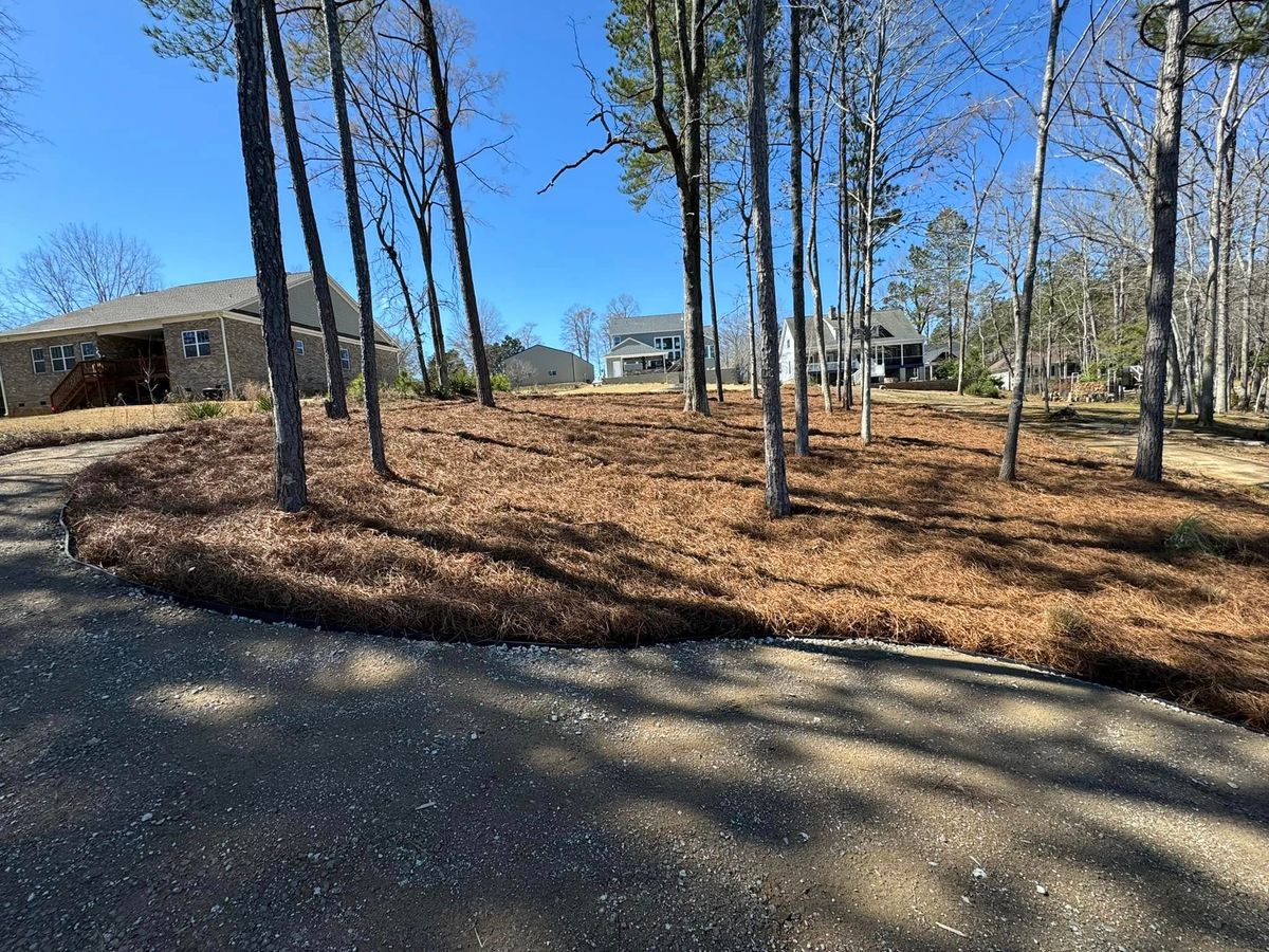 Pinestraw for Trophy Outdoor Solutions in Lexington, SC