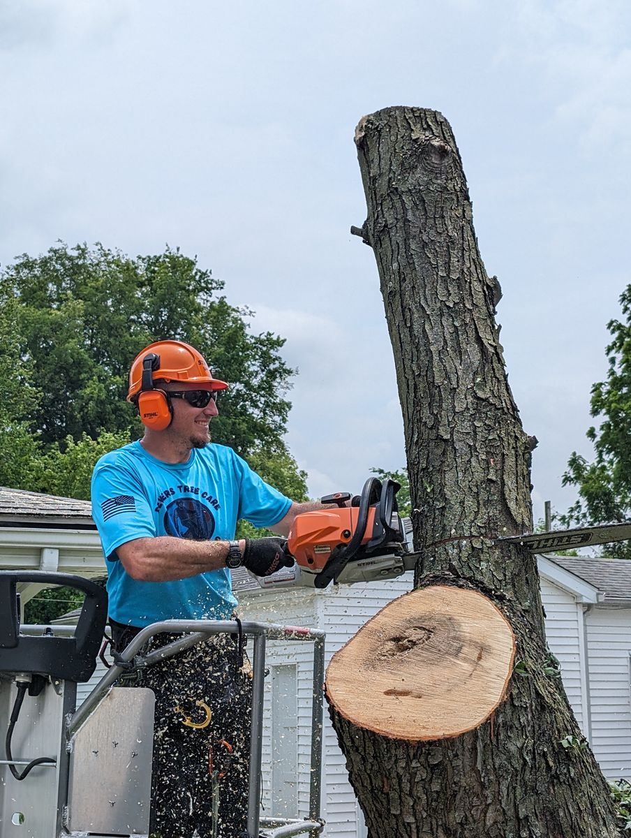 Tree Services for The Grass Guys CLC, LLC. in Princeton, IN