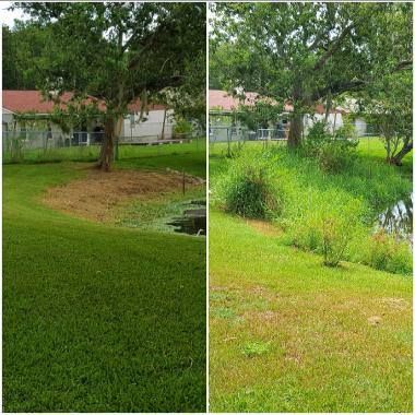 Mowing for 1 Friendly Lawn Service in Tampa, FL