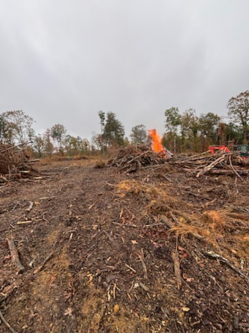 Forestry Mulching for TD Dirtworks in Tracy City, TN