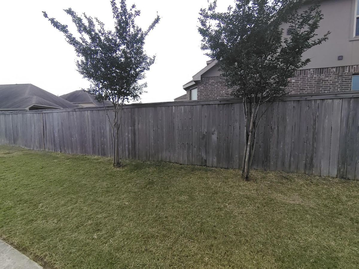 Fall Clean Up for Faith LEC Services LLC in Houston, TX