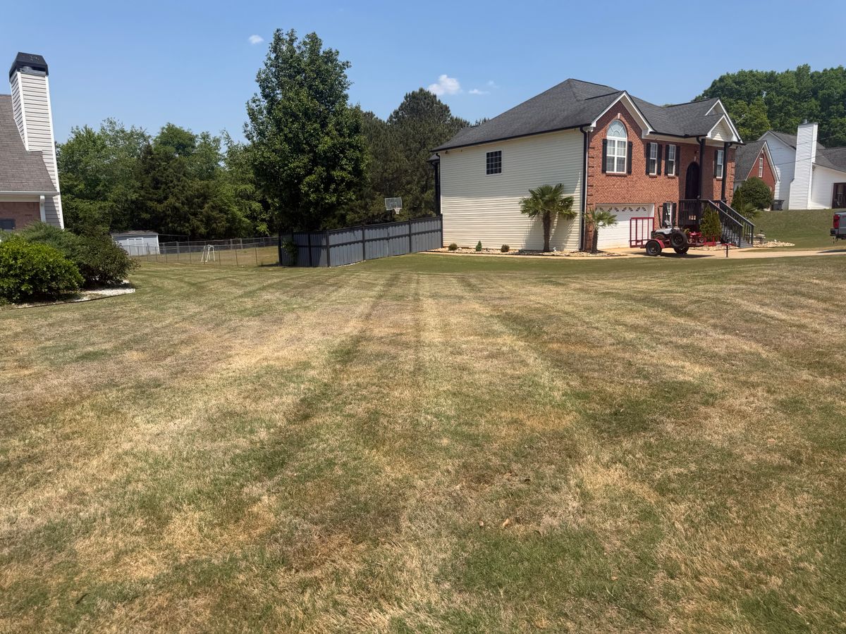 Lawn Maintenance for Southern Outdoors Landscaping in Covington, GA