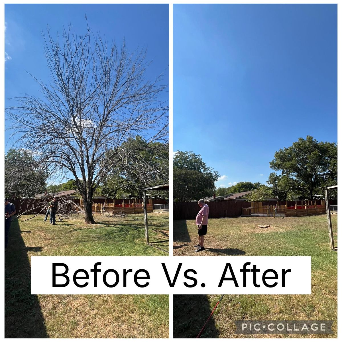 Tree Removal for Marks Tree Service in Fort Worth, TX